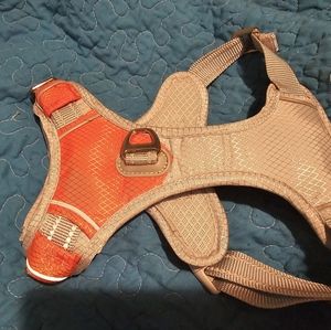 This is a one-time try on with my dog. He wanted nothing to do with it.  Lol, no